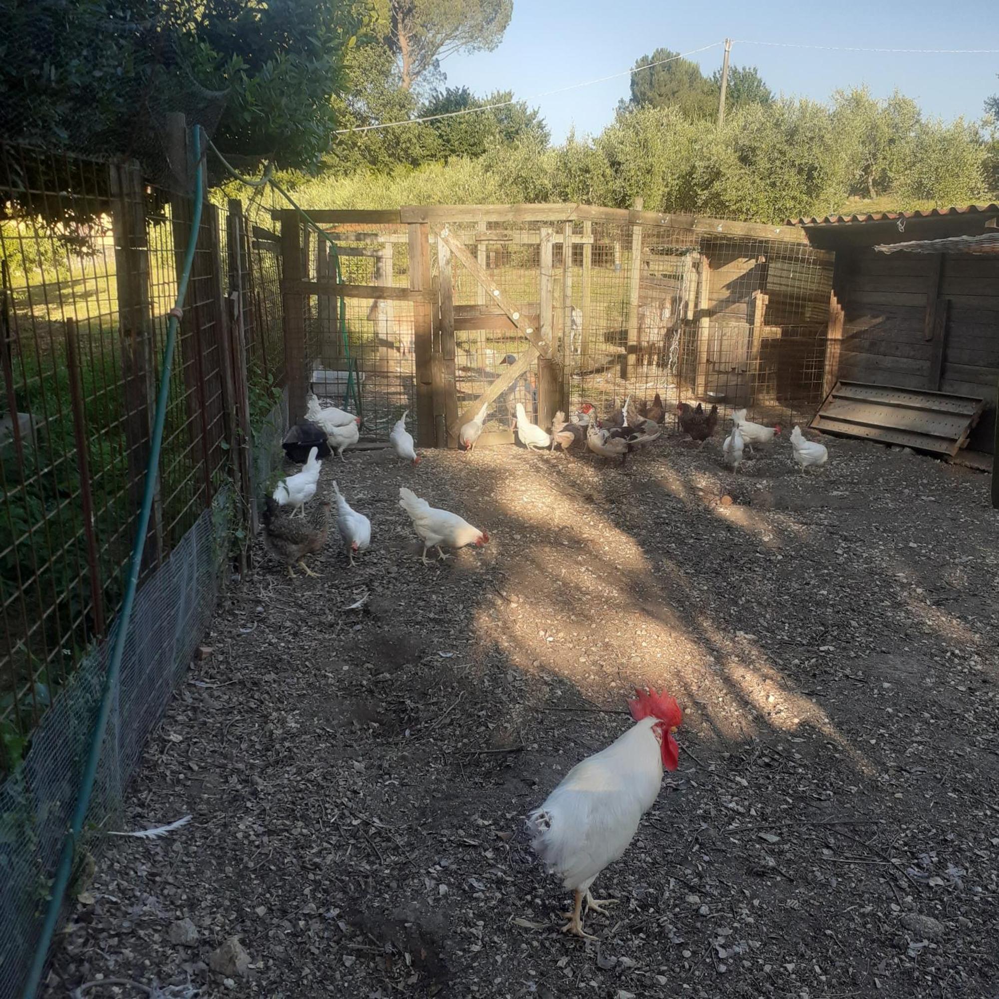 Casavacanze Baggioro Colle di Compito Buitenkant foto